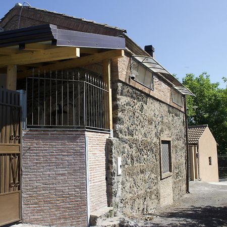 Вілла Domus Vini Сан-Джованні-ла-Пунта Екстер'єр фото
